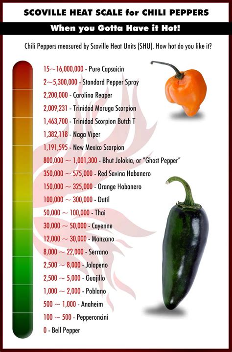 A List Of Chili Peppers And Their Scoville Heat Units Shus From Hottest To Mildest And More