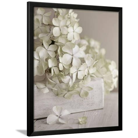 White Flowers Framed Print Wall Art By Symposium Design