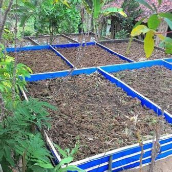Berikut beberapa cara menumbuhkan belut dalam drum. 17 Cara Ternak Belut di Kolam Terpal - ArenaHewan.com