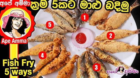ක්‍රම 5කට මාළු බදිමු 5 Methods Of Fried Fish By Apé Amma Maalu Badimu