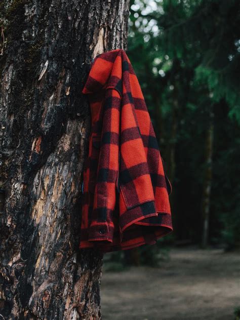 Épinglé par 💕💜lostgirl💜💕 sur lumberman jack mode masculine mode veste