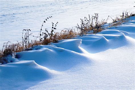 Free Images Nature Path Cold Plant White Field Sunlight Frost