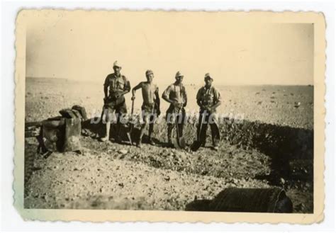 Wwii German Afrika Korps Photograph Soldiers Digging Foxholes Original