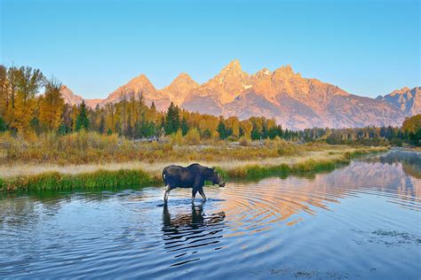 Schwabacher Morning Travels Photograph By Greg Norrell Fine Art America