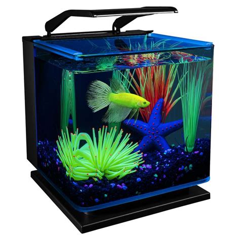 Glofish 3 Gallon Betta Aquarium Kit Fish Starter Kits Petsmart