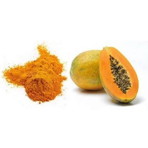 Venkateshnaturals Solvent Organic Papaya Fruit Powder At Rs 450kg In