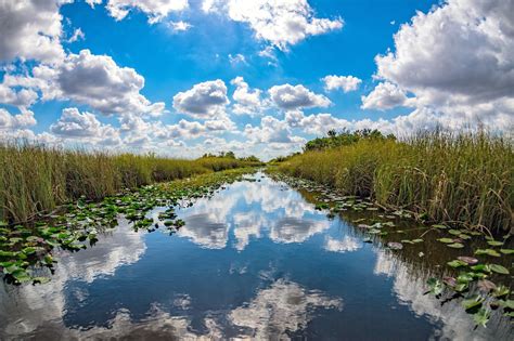 The Sky And Clouds Are Reflected In The Still Water At The Edge Of The