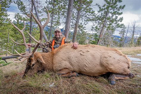 How To Hunt Elk This Year On A Budget Petersens Hunting