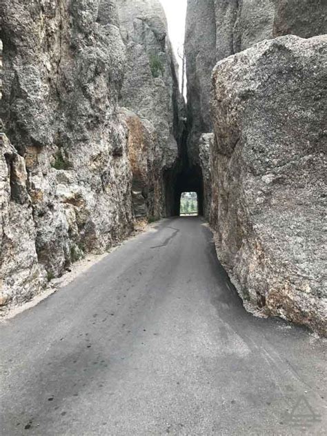The Needles Eye Tunnel In Custer State Park Trips Tips And Tees