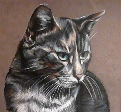 Illustrations vectorielles d'un chien et un chat, des amis et des ennemis étant. Album - portraits-chats-et-chiens - Fred Portrait : le ...