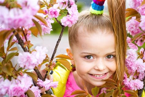 Little Happy Girl Playing Under Blooming Cherry Tree With Pink Flowers