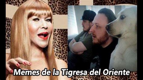 Baaŋa ŋun nyɛ paɣa (dag). Tigresa del Oriente: Mira los memes que generó sus fotos ...