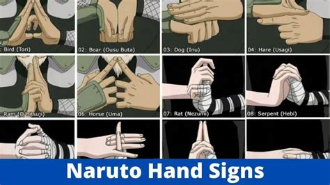 All Naruto Hand Signs Seals Meanings How To Guide