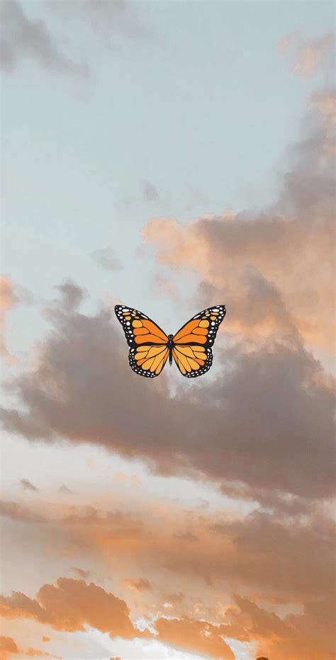 Aesthetic Butterfly Wallpaper Butterfly Wallpaper Iphone Iphone