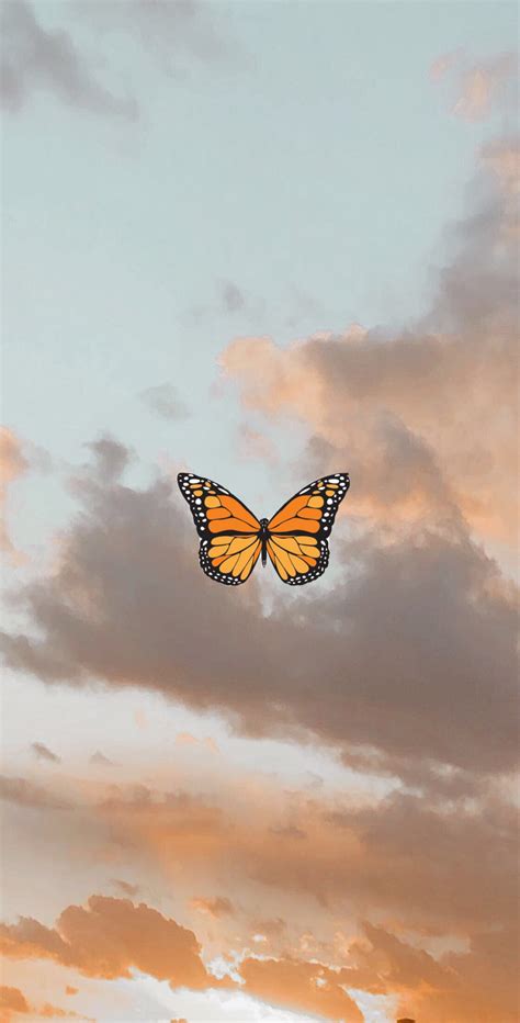 Aesthetic | Butterfly wallpaper iphone, Butterfly wallpaper, Trippy