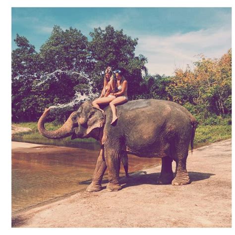Best Elephants And Sexy Women Vol Images On Pinterest