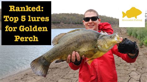 Top 5 Golden Perch Lures Ranked For Fishing From Shore Youtube