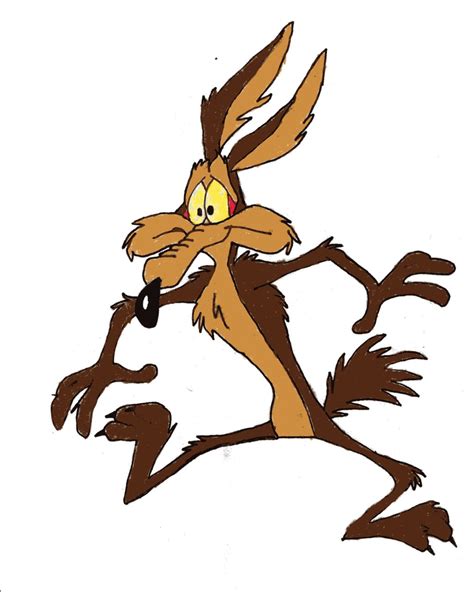 Wile E Coyote Wallpapers Cartoon Hq Wile E Coyote Pictures 4k