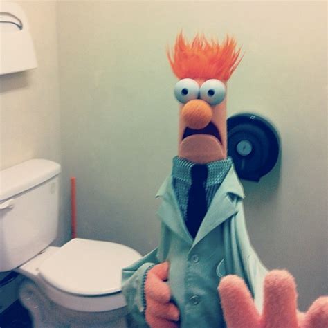 The Muppets Selfies Beaker
