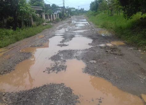 Masalah Jalan Di Lampung Gus Hilmy Bukti Pengawasan Pemerintah Pusat