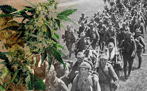 Perang dunia ii atau perang dunia kedua (biasa disingkat menjadi pdii atau pd2) adalah sebuah perang global yang berlangsung mulai tahun 1939 sampai 1945. Kisah Jepun Membiayai Perang Dunia Kedua Dengan Penanaman ...