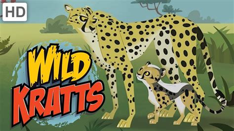 🐆 Wild Kratts - Meet "Blur" the Cheetah! - YouTube