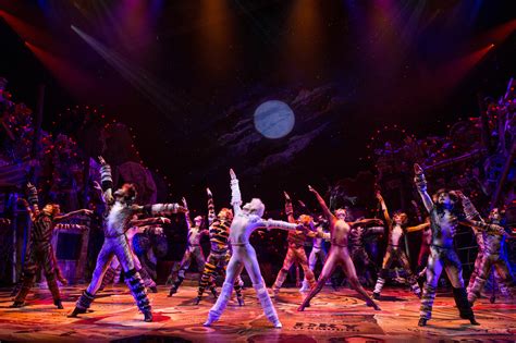 Discover its cast ranked by popularity, see when it premiered, view trivia, and more. See How the Critics Greeted the Broadway Cats Revival ...