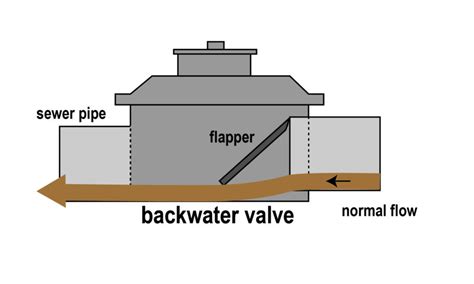 Backflow Valve Installation Cost For Sewer Line In Ny Ranshaw