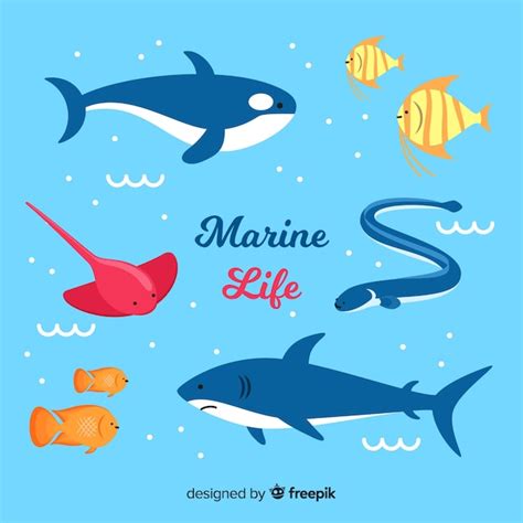 Free Vector Hand Drawn Sea Animals Collection