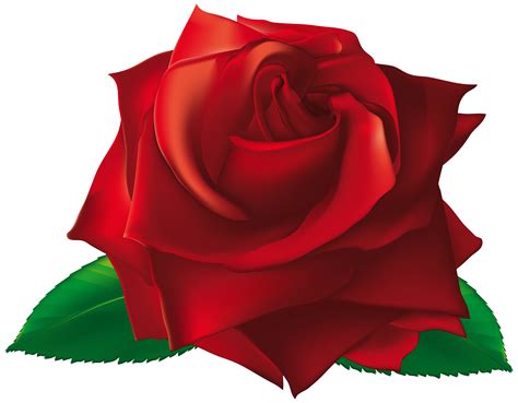 Free Single Rose Cliparts, Download Free Single Rose Cliparts png images, Free ClipArts on ...