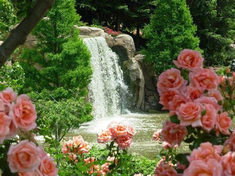 622 Best In The Garden Images On Pinterest Beautiful