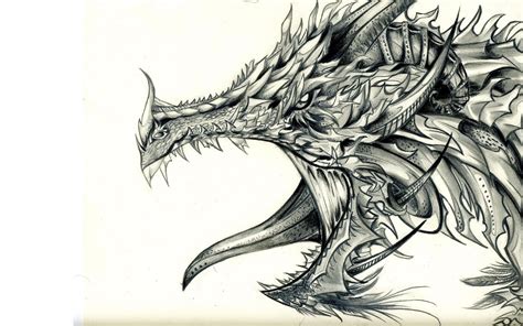 Drawing Pictures Of Dragons At Getdrawings Free Download
