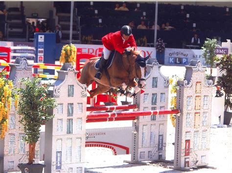 Dutch Warmblood Horses For Sale Peter Berkers Sporthorses