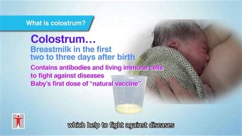 Love · Starts From Breastfeeding Colostrum Youtube