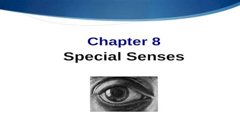 Chapter 8 Special Senses The Senses Special Senses Smell Taste Sight