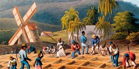 La Agricultura En América Colonial Historia Universal