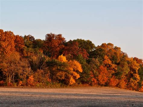 Now Is The Best Time To See Fall Colors In Iowa Photos Ames Ia Patch