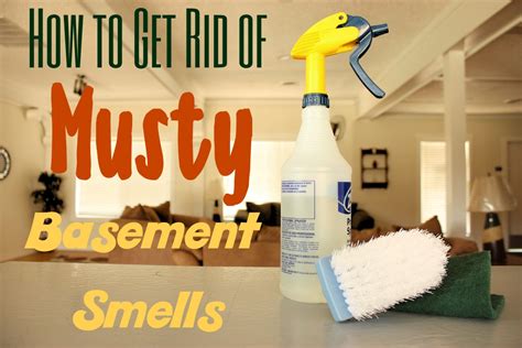 How To Get Rid Of Musty Basement Smells Dengarden