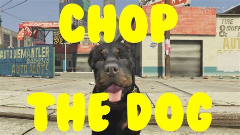 Chop The Dog Gta 5 Funny Youtube