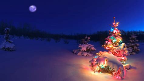 Free Download Christmas Tree Hd Wallpapers For Iphone 5