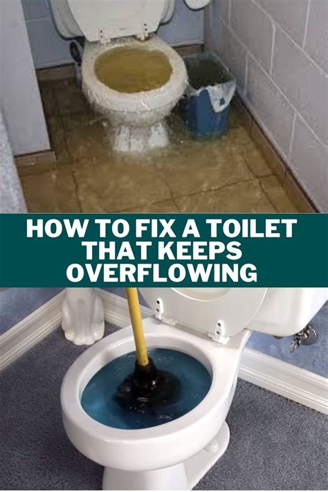 How To Fix A Toilet That Keeps Overflowing Easy Solutions Overflowing Clean Toilet Bowl Toilet