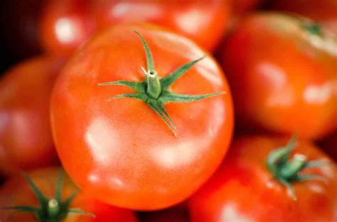 De esta manera mantendrán su frescura y sabor! Los mejores alimentos: frutas y verduras de temporada para ...