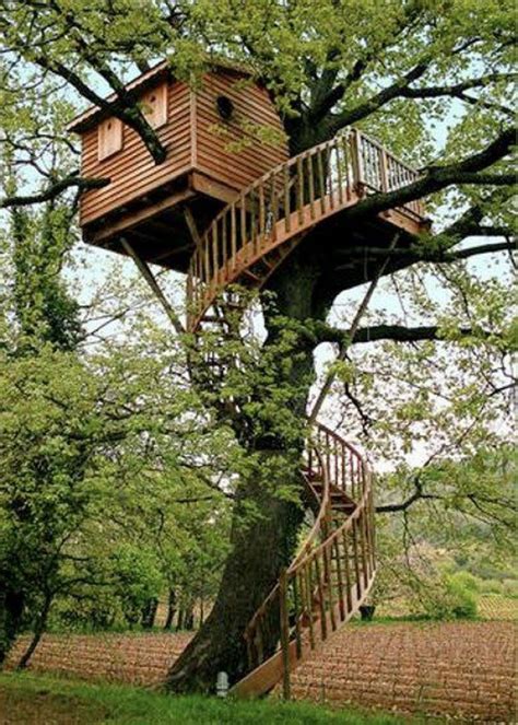 10 Unusual But Interesting Tree Houses Home Design Garden