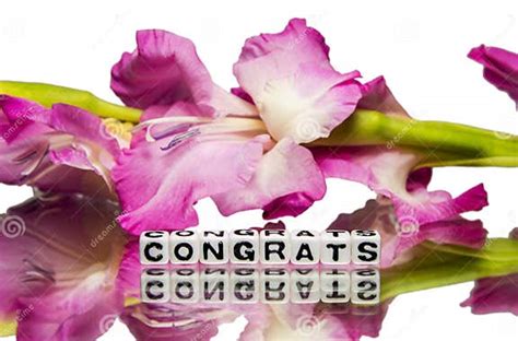 Congrats With Pink Flowers Stock Photo Image Of Acclaim 36172220