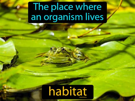 Habitat Definition What Is Habitat Definition Explanation Video