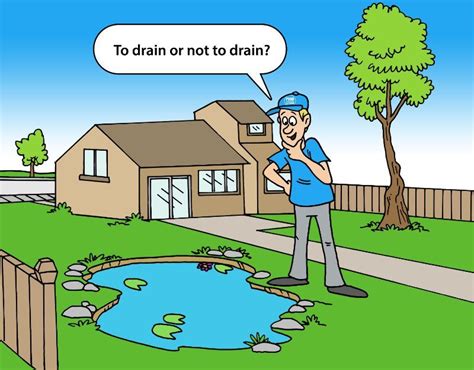 Maybe you would like to learn more about one of these? How To Easily Drain A Pond (With Or Without A Pump ...