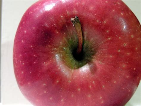 Apple Top Close Up Free Stock Photo Public Domain Pictures