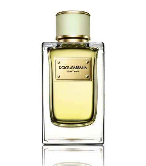 Dolce And Gabbana Velvet Pure Eau De Parfum 150ml Harrods Uk
