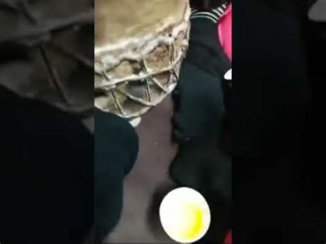 زمزامات اغاني ليبية اغاني ليبية اغاني ليبيا ليبيا اعراس. اغاني أعراس ليبية علي الجدة / Ø§Ù Ø±Ø§Ø­ Ù„ÙŠØ¨ÙŠØ§ Ù ÙŠ Ø§Ù„ØµØ§Ù„Ø§Øª Ø§Ø±ÙˆØ¹ Ø§Ù„Ø­Ù Ù„Ø§Øª ...