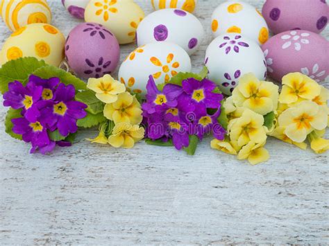 Easter Eggs And Yellow And Violet Primula Flowers Composition Stock